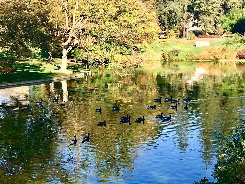 UC Davis Arboretum Gazebo | Garrod Dr, Davis, CA 95616 | Phone: (530) 752-4880