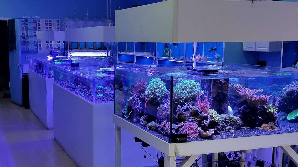 Blue Reef Aquatics | 5960 Losee Rd, North Las Vegas, NV 89081 | Phone: (702) 252-7333