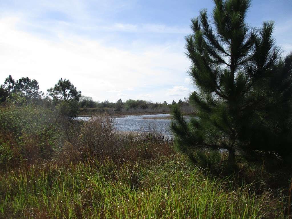 Hilochee Wildlife Management Area, Osprey Unit | 6239 Co Rd 557, Polk City, FL 33868, USA | Phone: (863) 648-3200