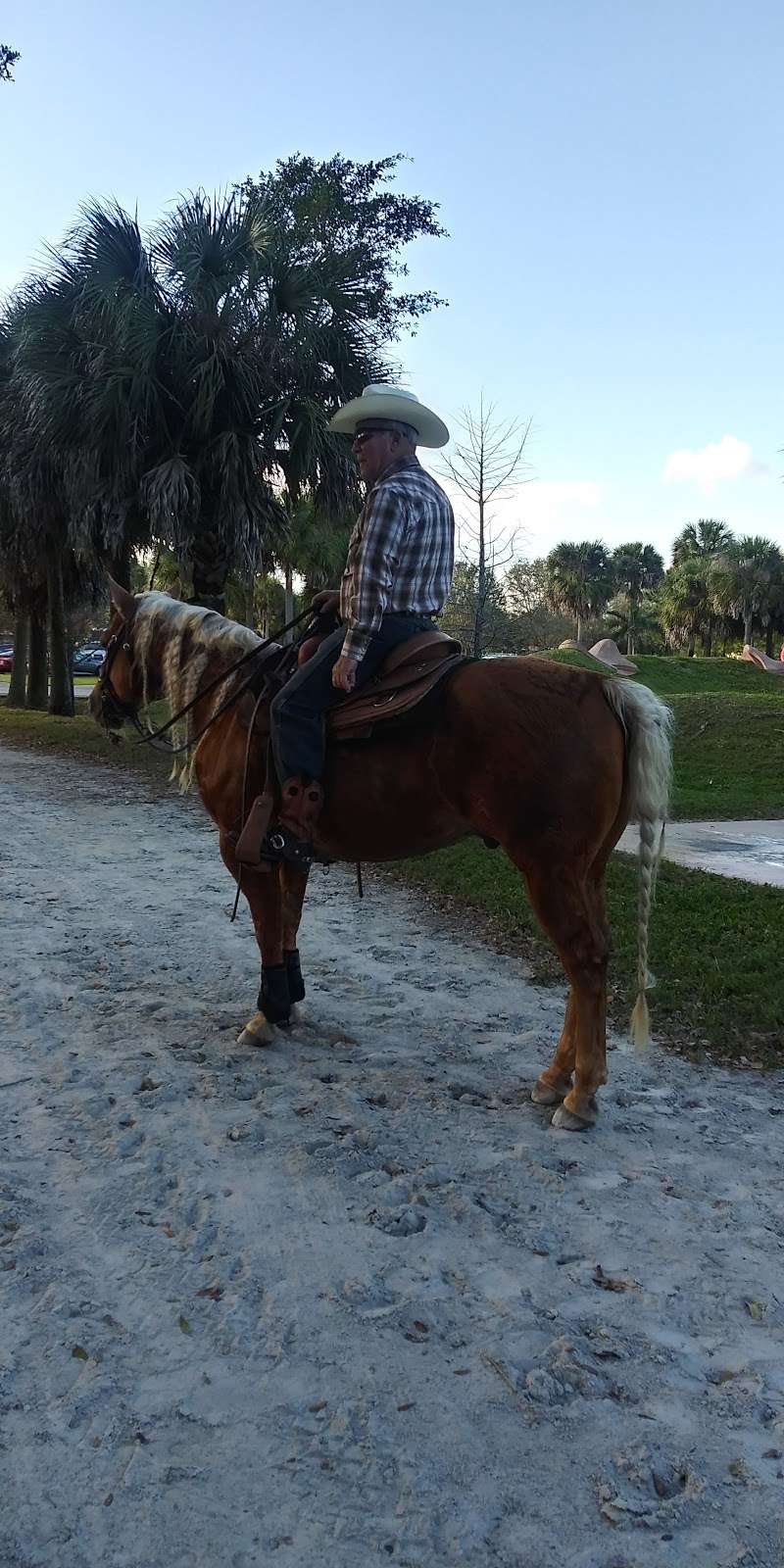 Sunshine Ranches Equestrian Park | 5840 SW 148th Ave, Fort Lauderdale, FL 33330, USA | Phone: (954) 434-0008