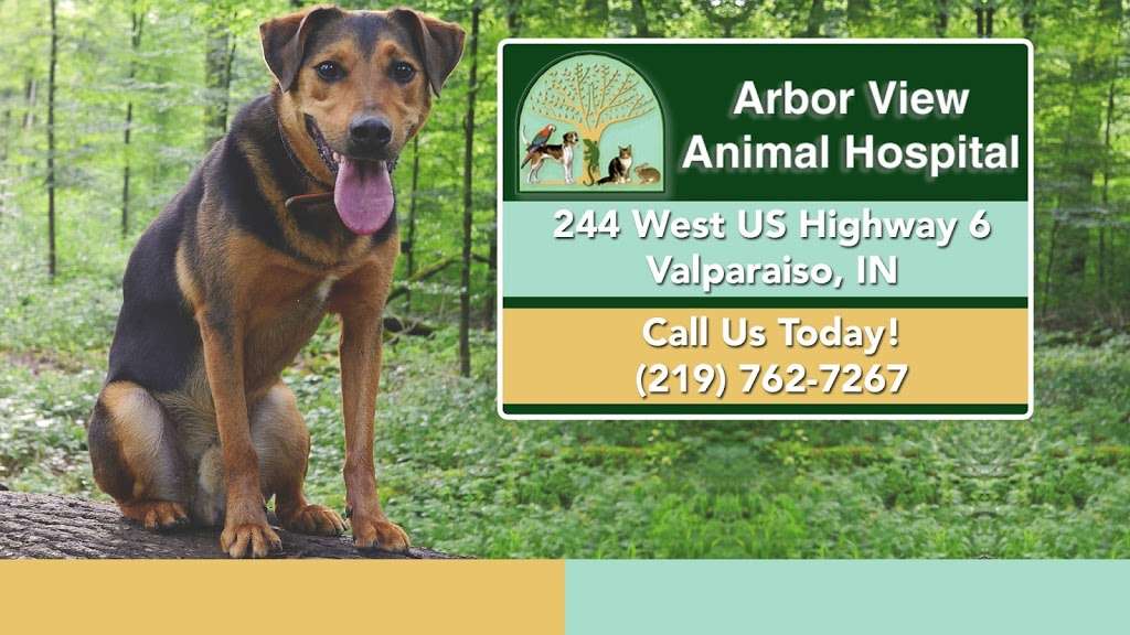 Arbor View Animal Hospital | 244 West U.S. Highway 6, Valparaiso, IN 46385, USA | Phone: (219) 762-7267