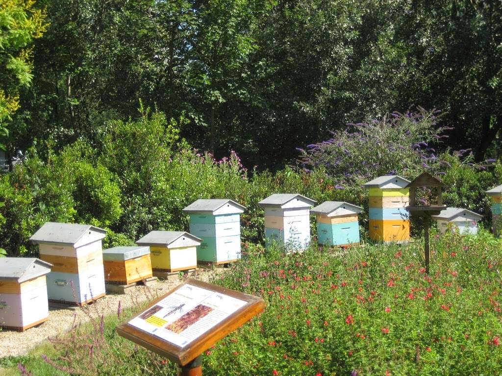 Second Chance Apiary | 5260 Fairfield Rd, Fairfield, PA 17320, USA | Phone: (717) 549-3686