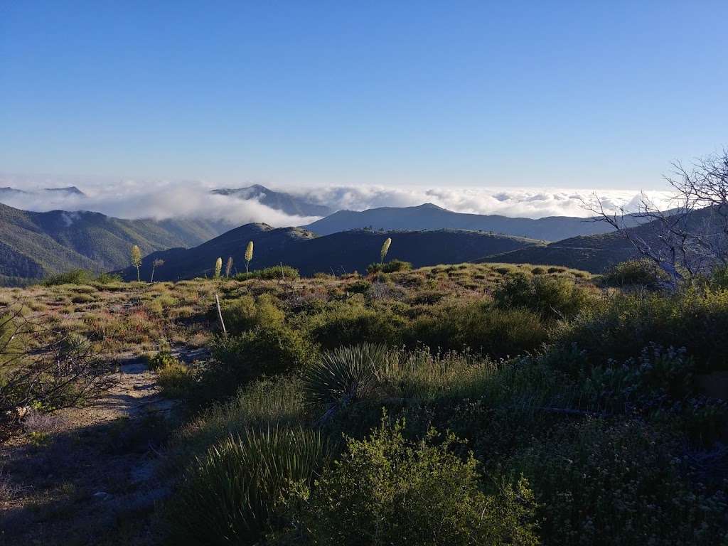 Messenger Flats Campground | Palmdale, CA 93550, USA