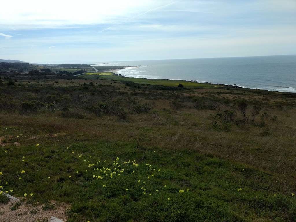 Wilburs Watch | Pescadero, CA 94060, USA