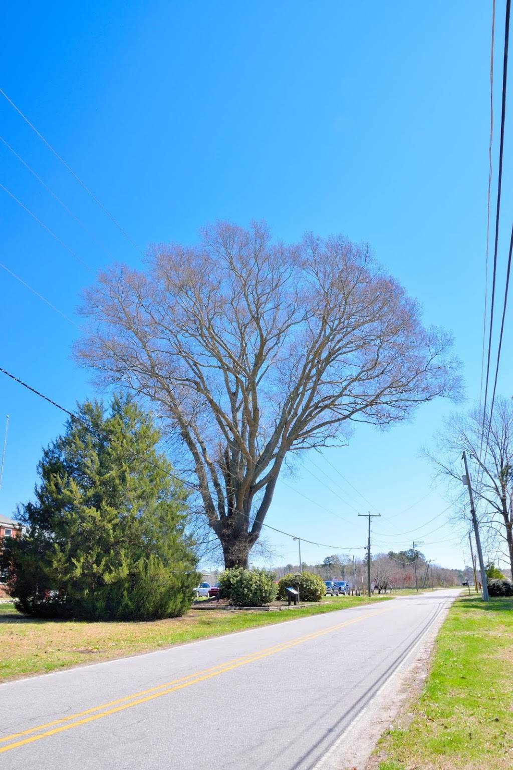 Moyock Elementary School | 255 Shingle Landing Rd, Moyock, NC 27958 | Phone: (252) 435-6521