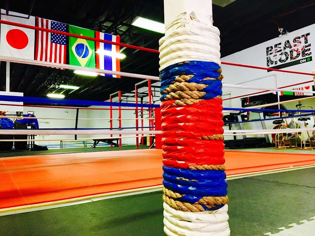 Cyclone Muay Thai & Soul Fighters Jiu-Jitsu | 6640 West Cactus Road A116-A117, Glendale, AZ 85304, USA | Phone: (602) 787-3923