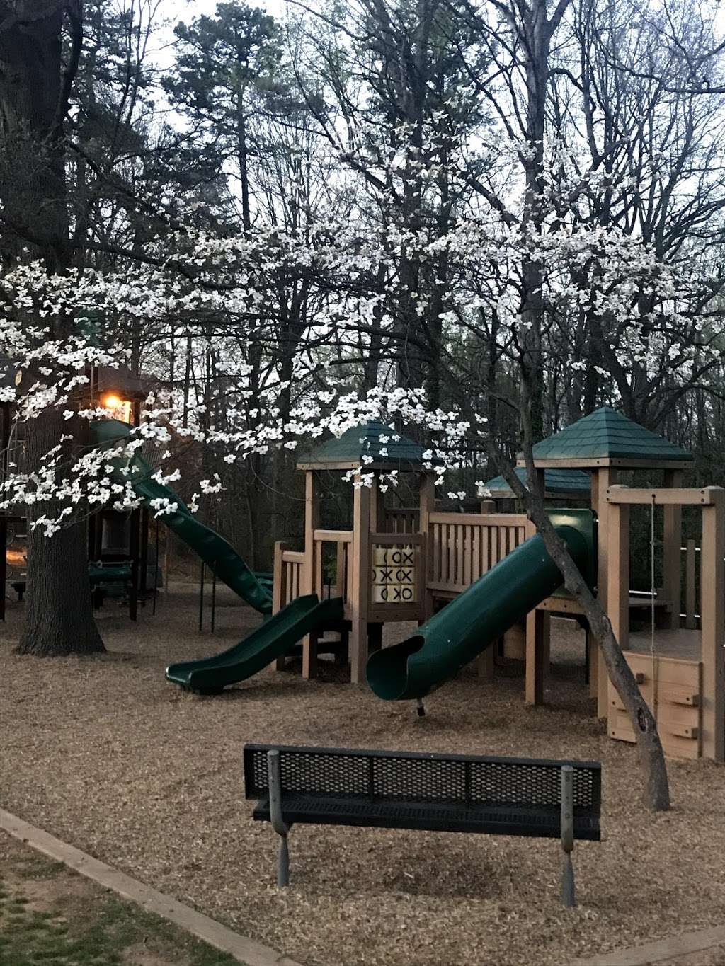 Holbrook Park | 100 Sherwood Dr, Huntersville, NC 28078, USA