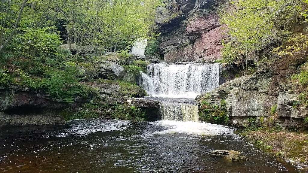 Indian Ladder Falls | Leavitt Branch, Greentown, PA 18426