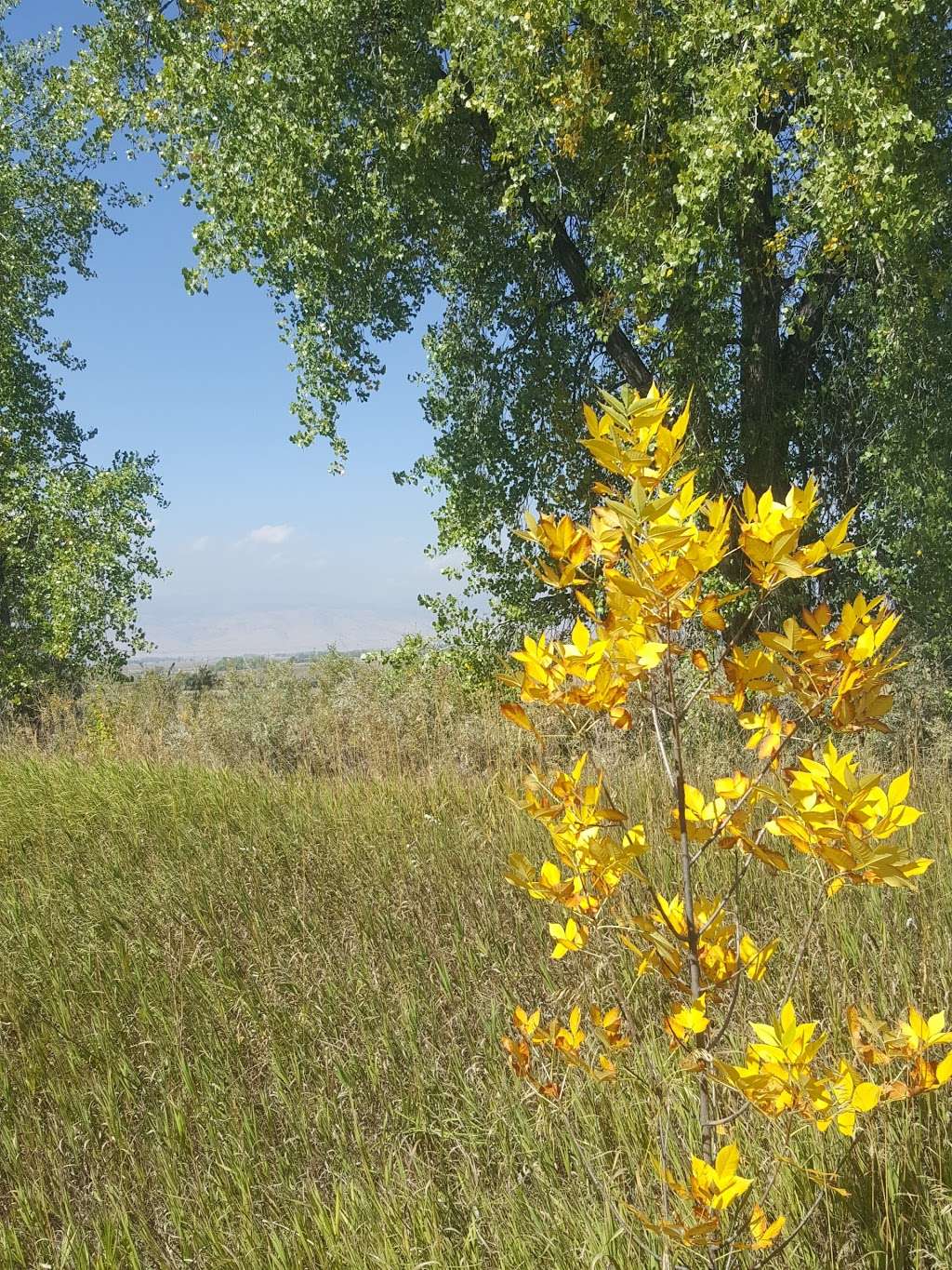 Monarch Trailhead Niwot | 7700 Monarch Rd, Niwot, CO 80503, USA