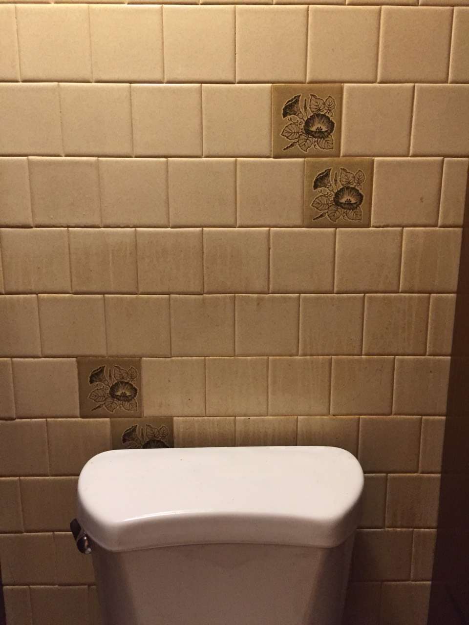 Ms. Carpet Clean | Carpet Cleaning Massachusetts | 30 Summit Rd, Saugus, MA 01906, USA | Phone: (781) 233-5800