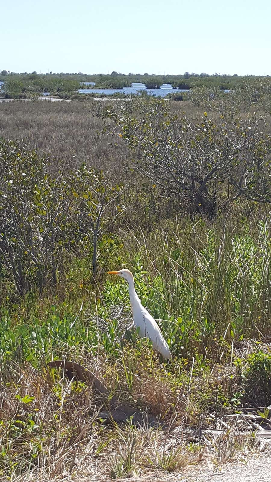 Allan Cruickshank Trail | Florida, USA