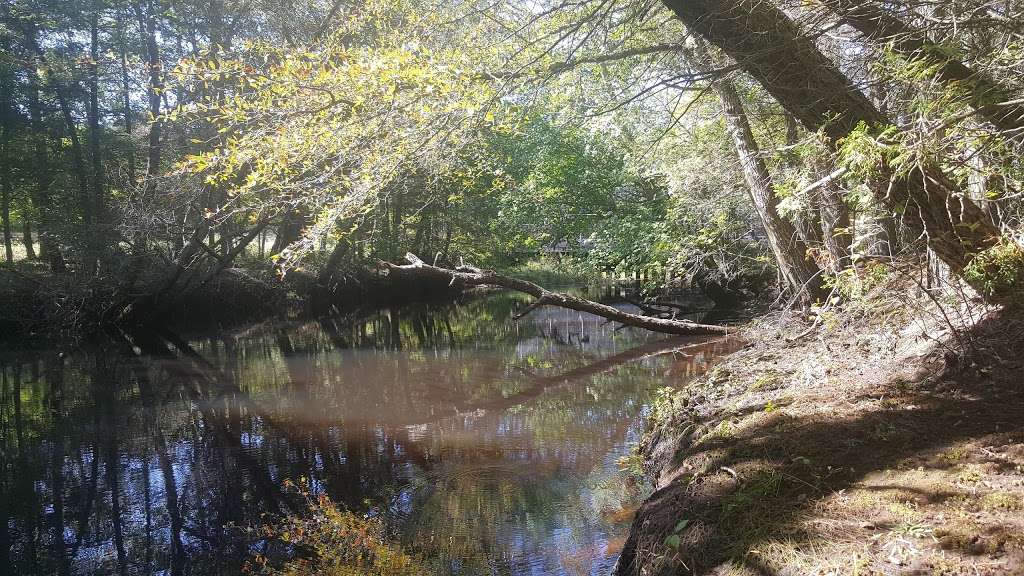 Evans Bridge | Chatsworth, NJ 08019, USA