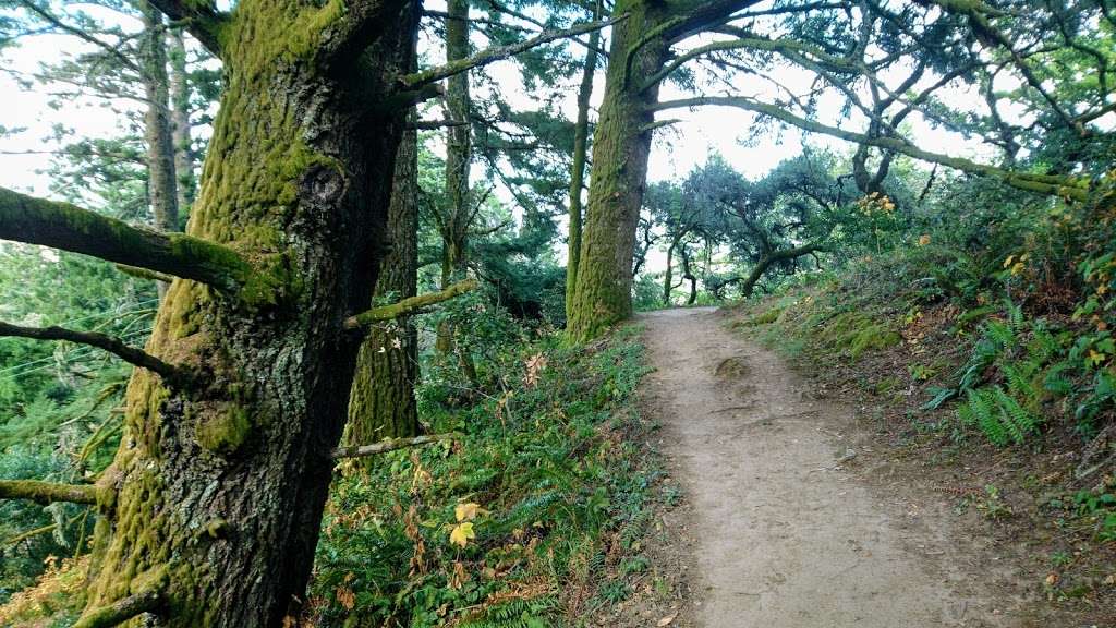 Lost Trail | Lost Trail, Portola Valley, CA 94028, USA