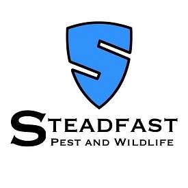 Steadfast Pest and Wildlife | 3500 Dripping Springs Dr, Plano, TX 75075, USA | Phone: (214) 775-9967