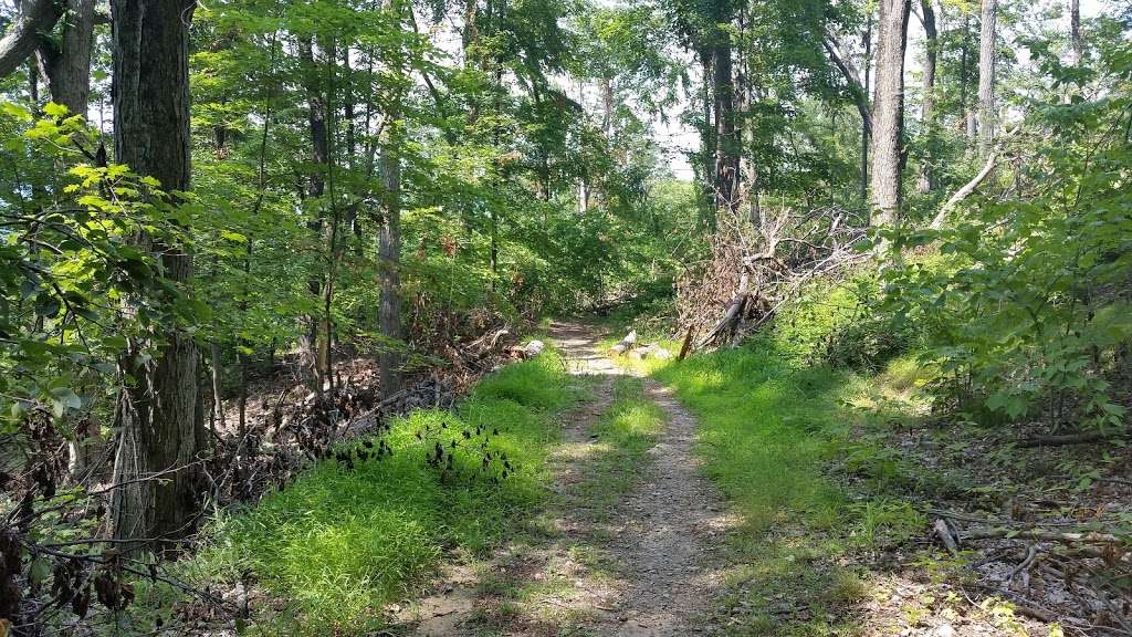 Sugarloaf Hill,Osborn loop trail | 29-31 Wing and Wing, Garrison, NY 10524, USA