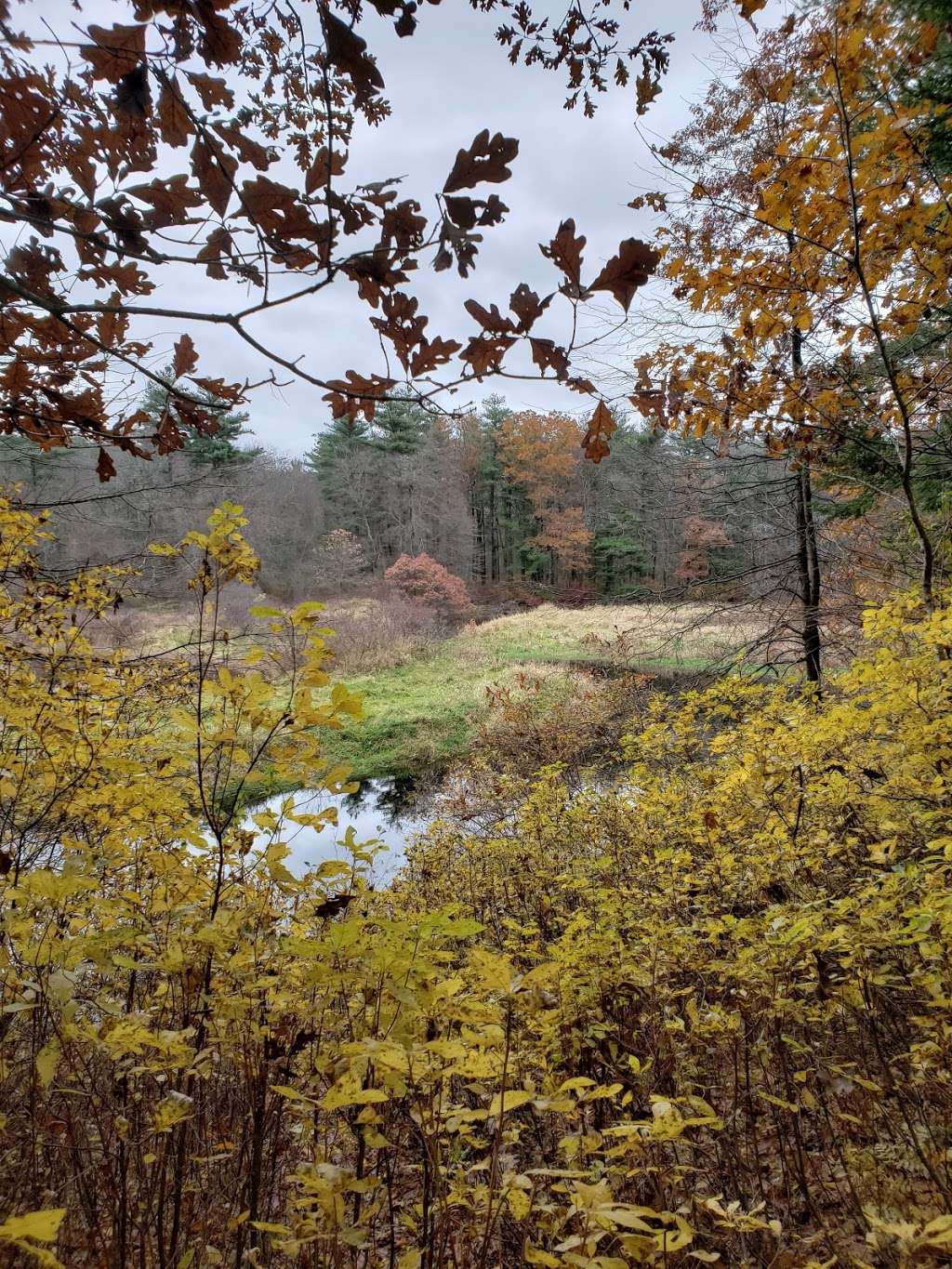 Satucket River Frontage | East Bridgewater, MA 02333, USA