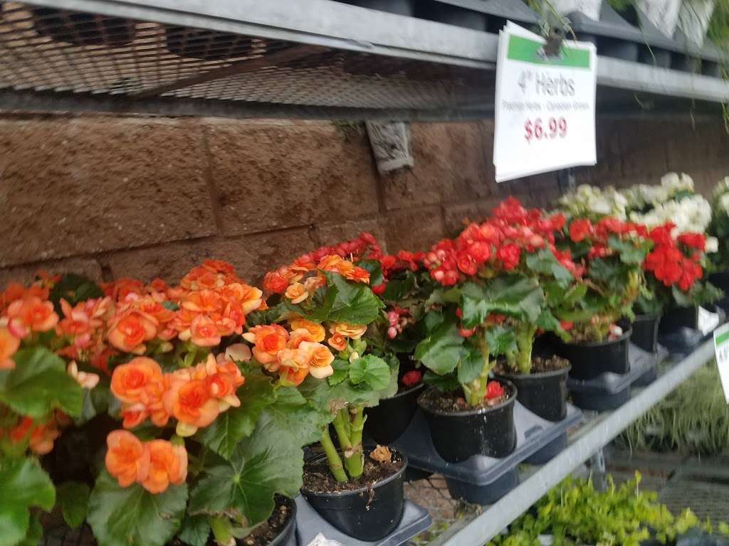 14th Street Garden Center | 793 Jersey Ave, Jersey City, NJ 07310, USA | Phone: (201) 963-1414