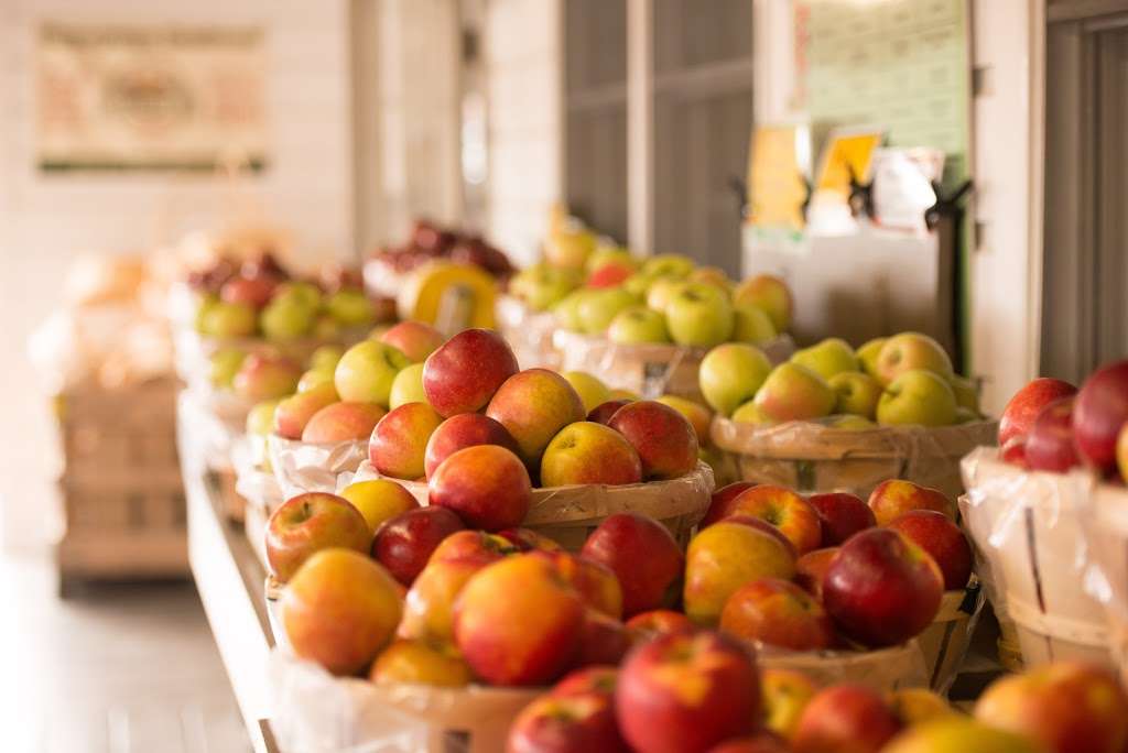 Fifer Orchards - Farm, Country Store & CSA | 1919 Allabands Mill Rd, Camden Wyoming, DE 19934 | Phone: (302) 697-2141