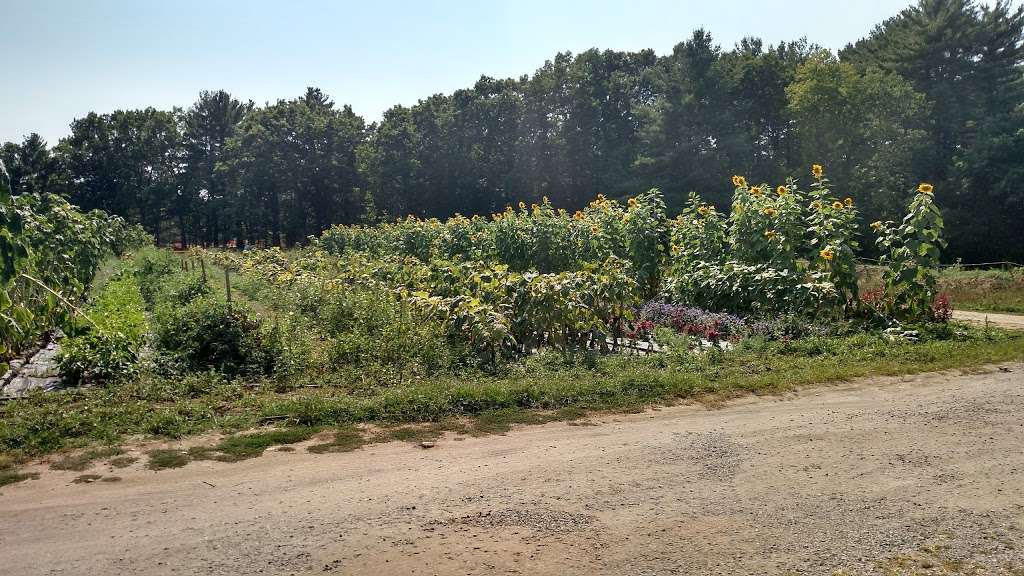 Apple Field Farm Stand | 722 Great Rd, Stow, MA 01775, USA | Phone: (978) 897-2699