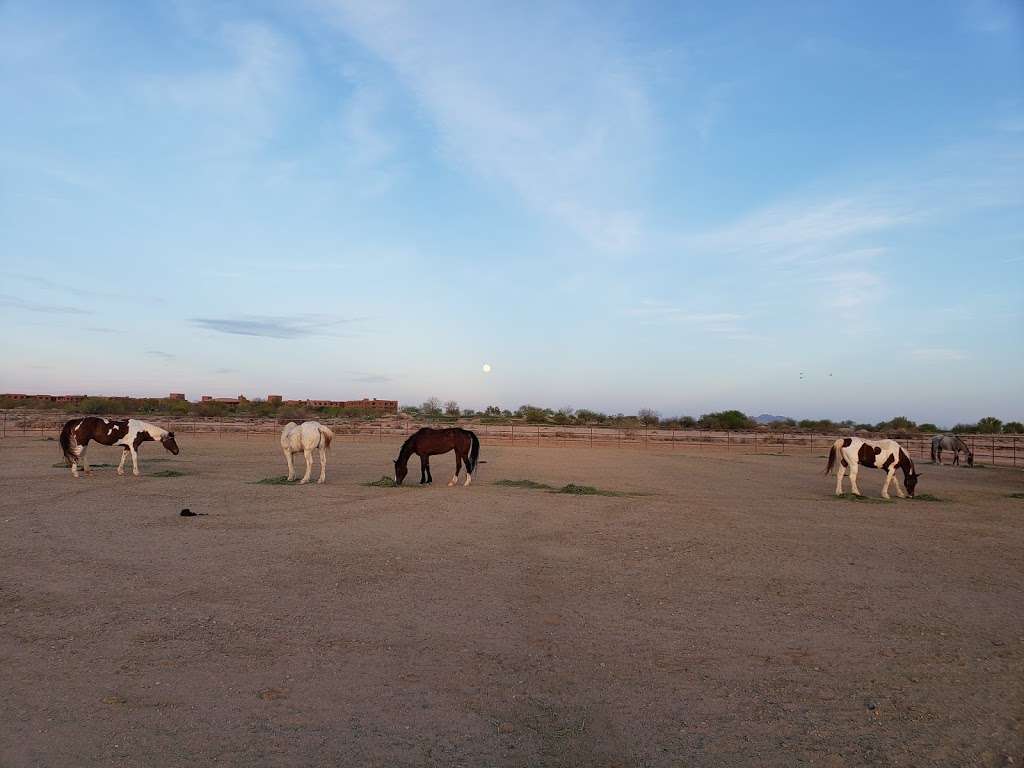 KOLI Equestrian Center | 6940 W BROKEN EAR RD, Chandler, AZ 85226, USA | Phone: (602) 796-3495