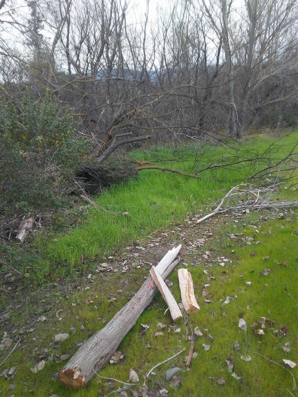 Los Capitancillos Ponds | Guadalupe Creek Trail, San Jose, CA 95118, USA