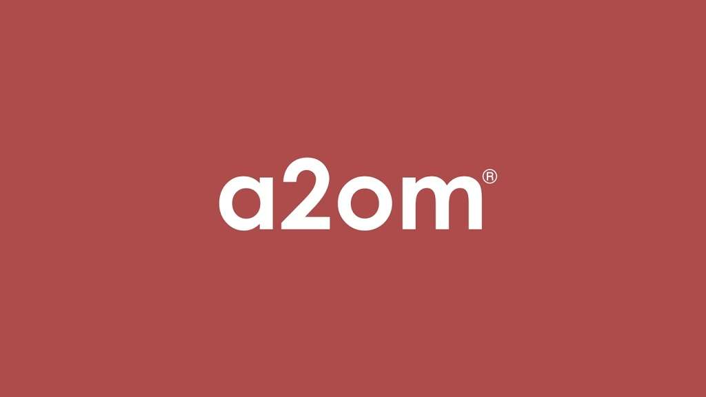 a2om international ltd | 199 Ham St, Richmond TW10 7HL, UK | Phone: 020 8948 6188