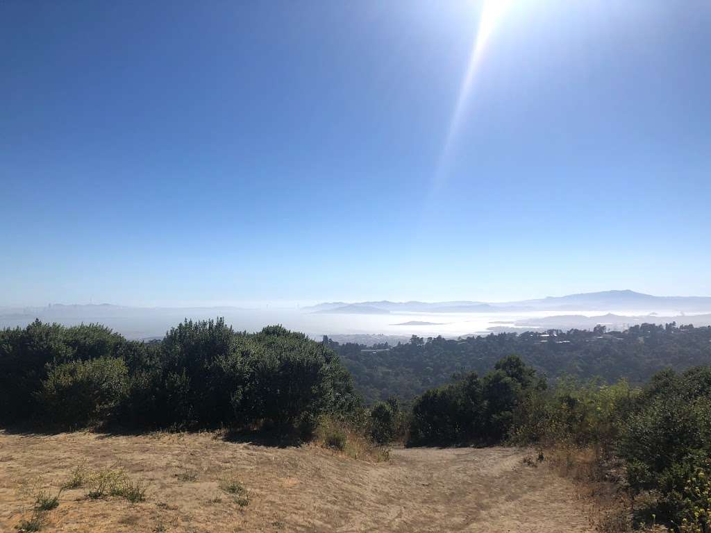 Wildcat Peak | Berkeley, CA 94708, USA