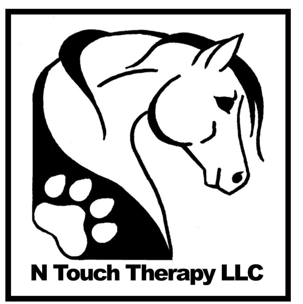 N Touch Therapy LLC | 19362 Rhodalea Farm Rd, Stevensburg, VA 22741, USA | Phone: (540) 672-8549