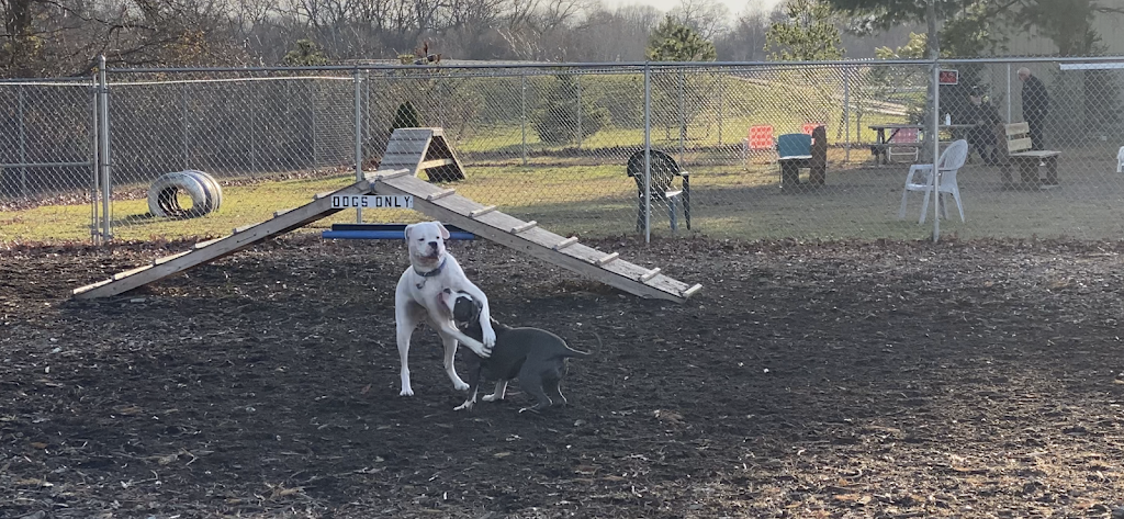 Attleboro Dog Park | Seekonk, MA 02771, USA