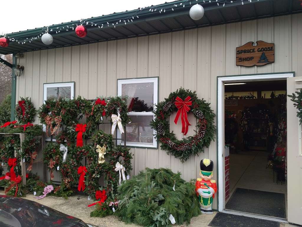 Spruce Goose Christmas Tree Farm 194 Bordentown Georgetown Rd Chesterfield Nj 08515 Usa