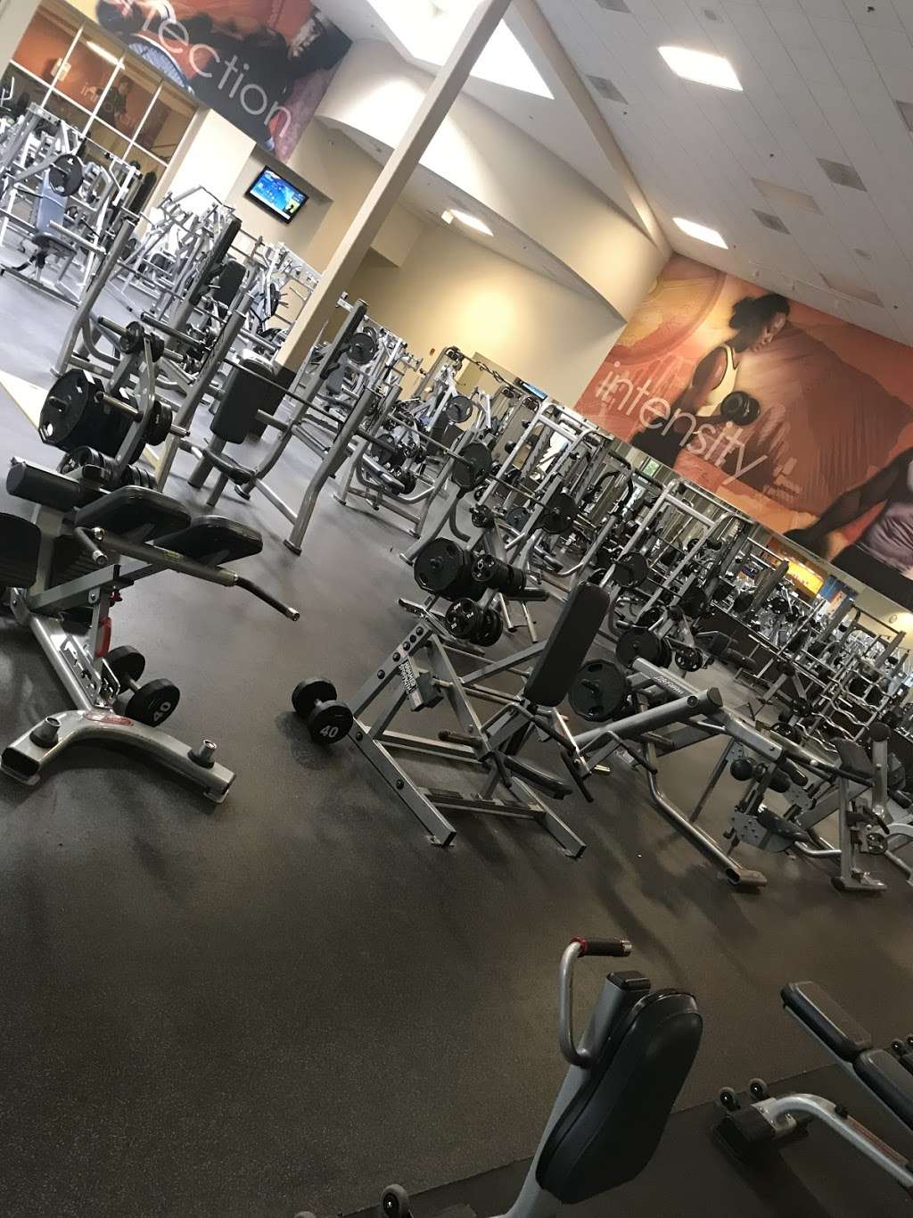 LA Fitness | 701 Cathedral Rd, Philadelphia, PA 19128, USA | Phone: (215) 482-4088