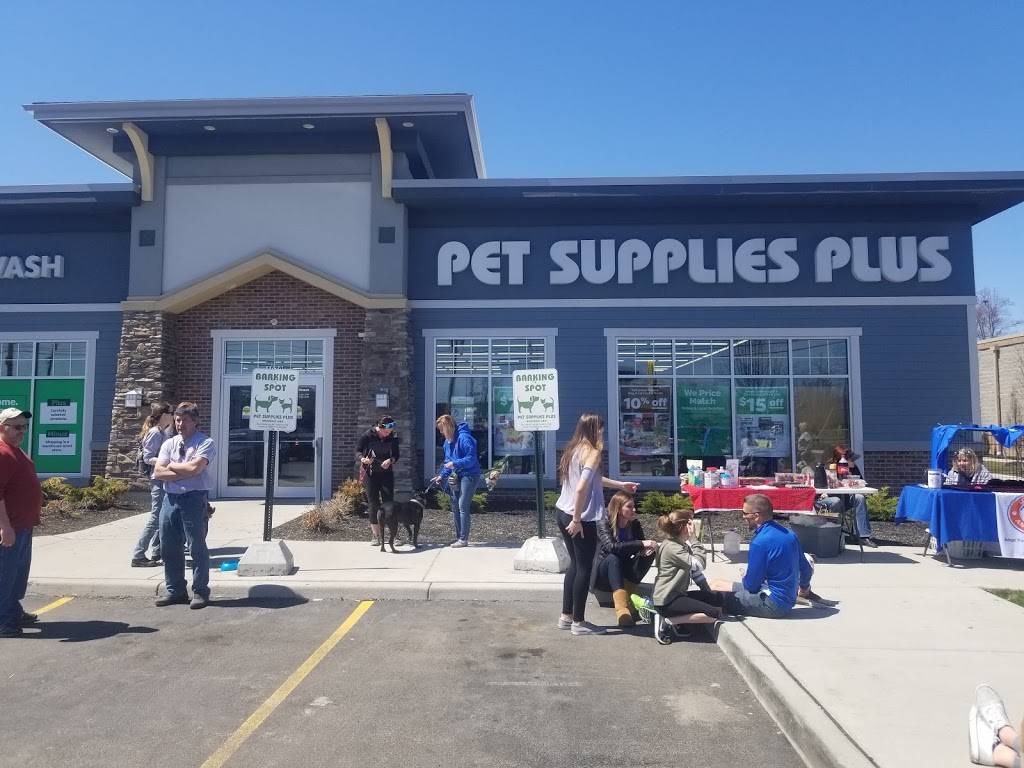 Pet Supplies Plus Depew | 4970 Transit Rd, Depew, NY 14043 | Phone: (716) 681-2503