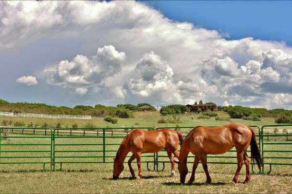 Begin Again Ranch | 3316 Christy Ridge Rd, Sedalia, CO 80135, USA | Phone: (720) 467-4143