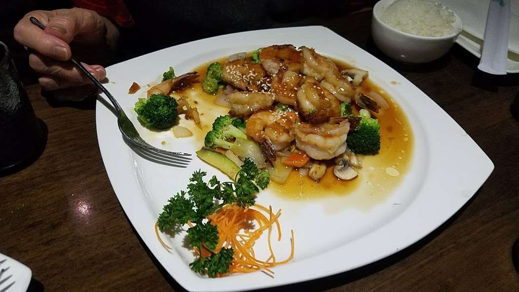 Ocean Asian Cuisine | 288 Egg Harbor Rd STE #8, Sewell, NJ 08080, USA | Phone: (856) 863-3688