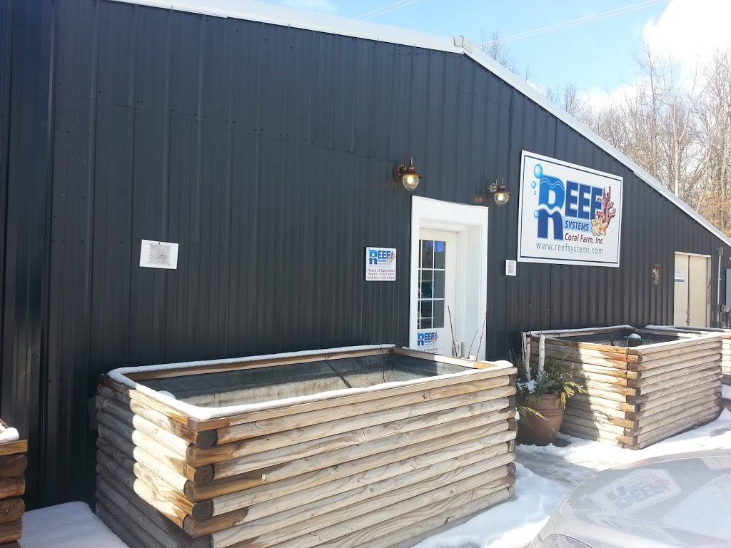 Reef Systems Coral Farm Inc | 8459 Peter Hoover Rd, New Albany, OH 43054, USA | Phone: (614) 933-8779