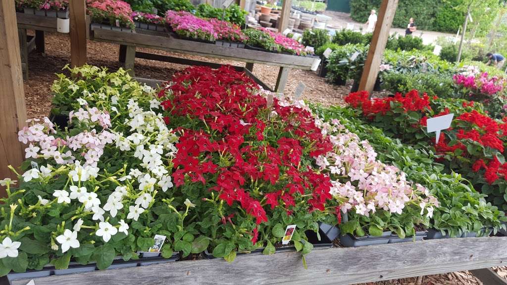 Reynolds Farms Nursery and Country Garden Center | 23 Richards Ave, Norwalk, CT 06854, USA | Phone: (203) 866-5757