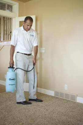 Five Star Chem-Dry Upholstery & Carpet Cleaning | 19218 Filbert Rd, Bothell, WA 98012, USA | Phone: (425) 354-3394