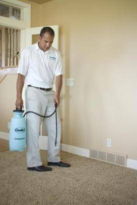 Five Star Chem-Dry Upholstery & Carpet Cleaning | 19218 Filbert Rd, Bothell, WA 98012 | Phone: (425) 354-3394