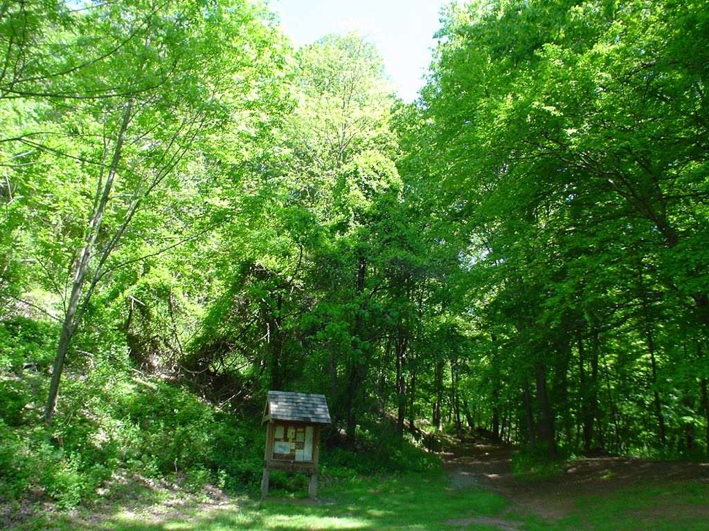 Dunnfield Creek Natural Area trailhead | 40°5818. 75°0733., 9 N 3rd St, Stroudsburg, PA 18360, USA