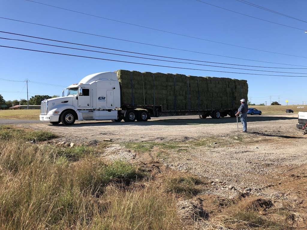 My Farm “El Güero” hay sale | 3650 TX-1604 Loop, San Antonio, TX 78264, USA | Phone: (432) 235-4227