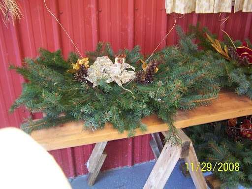 Three Kings Christmas Tree Farm | 117 Arneytown-Hornerstown Rd, Allentown, NJ 08501, USA | Phone: (609) 758-3097