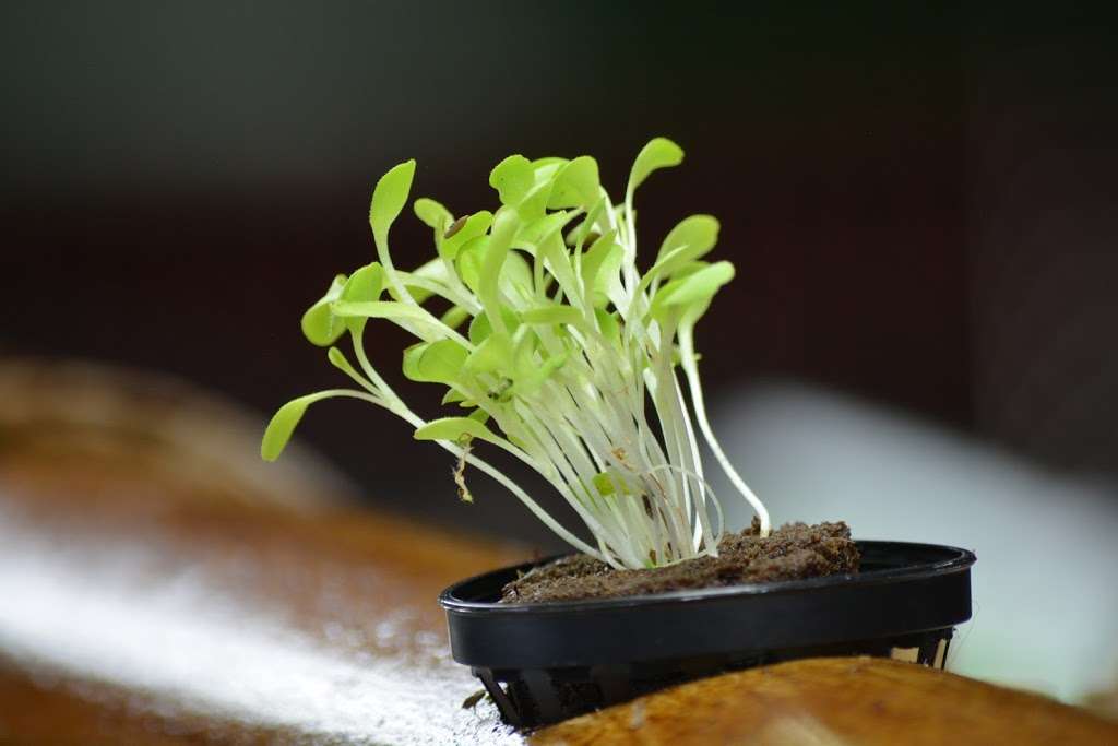 GF Agriculture | 18113 Maugans Ave, Hagerstown, MD 21740, USA | Phone: (240) 347-7072