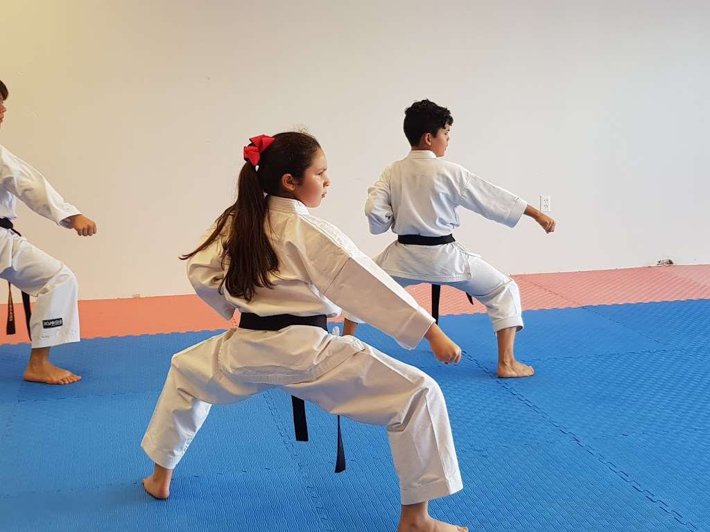 West Orange Karate | 632 S Dillard St, Winter Garden, FL 34787, USA | Phone: (407) 915-2576