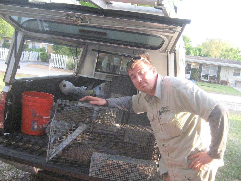 Wildlife Removal Sumter & Lake County | 2110 Tally Rd #3, Leesburg, FL 34748, USA | Phone: (352) 293-2577