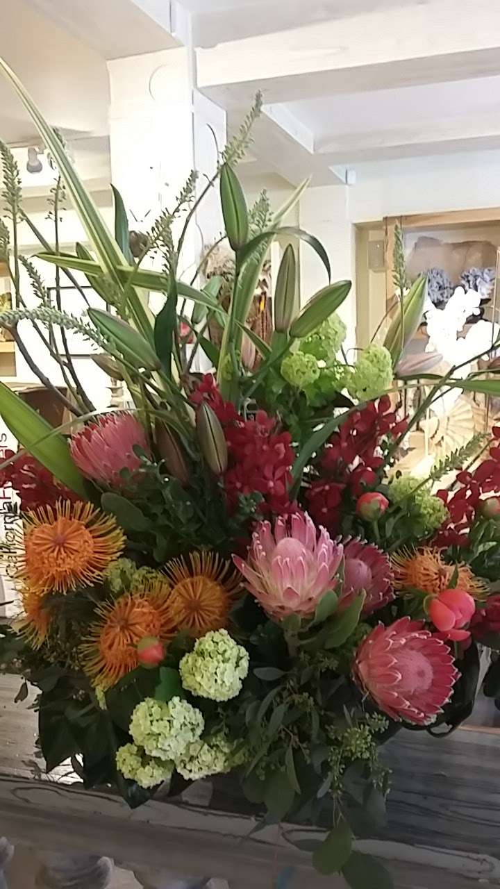 Floreal | 533 Taylor St, San Francisco, CA 94102, USA | Phone: (415) 885-4261