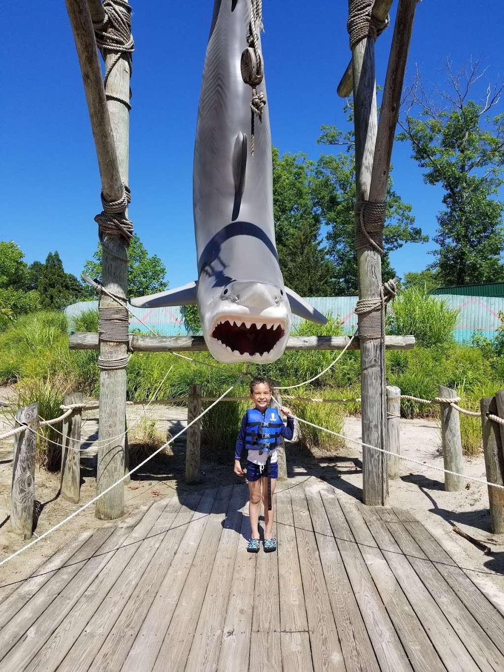 Six Flags Hurricane Harbor- Water Park | Jackson, NJ