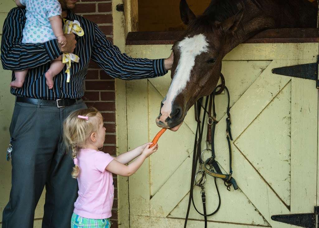 Happy on Hooves | 5014 Mt Carmel Rd, Hampstead, MD 21074, USA | Phone: (443) 507-6558