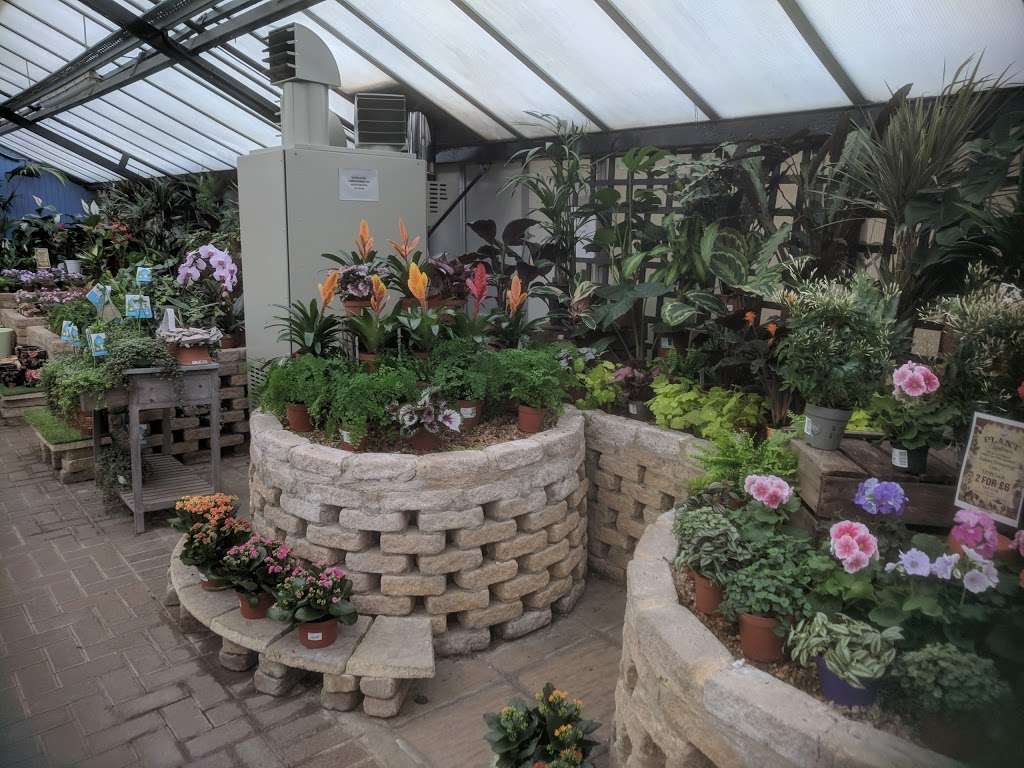 Harlow Garden Centre | Canes Ln, Hastingwood, Harlow CM17 9LD, UK | Phone: 01279 419039