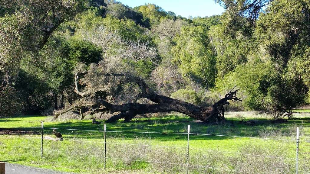 Rancho San Antonio Open Space Preserve | 22500 Cristo Rey Dr, Cupertino, CA 95014, USA | Phone: (650) 691-1200