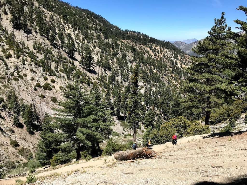 Icehouse Saddle | 34°1422.0"N 117°3548., CA-2, Mt Baldy, CA 91759, USA